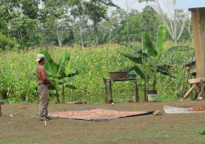 Producción